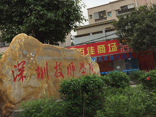 Shenzhen Longgang Institute of Technology